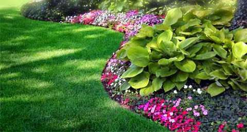 Jobs in M & G Landscaping - reviews